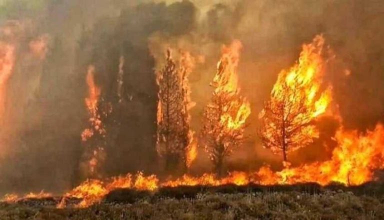 تنبيه قويّ وخطر من احتمال حدوث حرائق بسبب ارتفاع درجات الحرارة