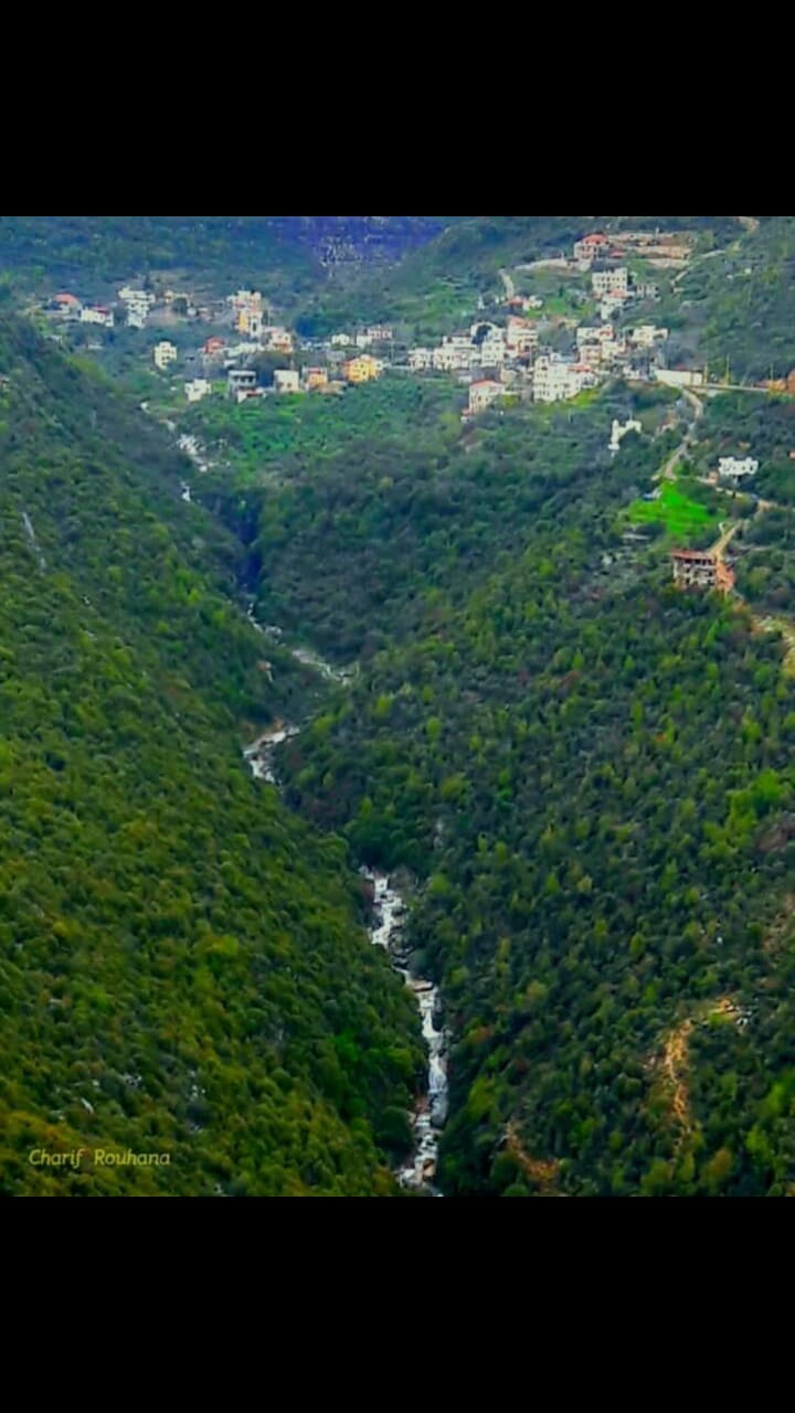 ‎مختار بلدة حاقل ريمون حبيب ينفي الأخبار المتداولة عن وجود اصابات كورونا في البلدة