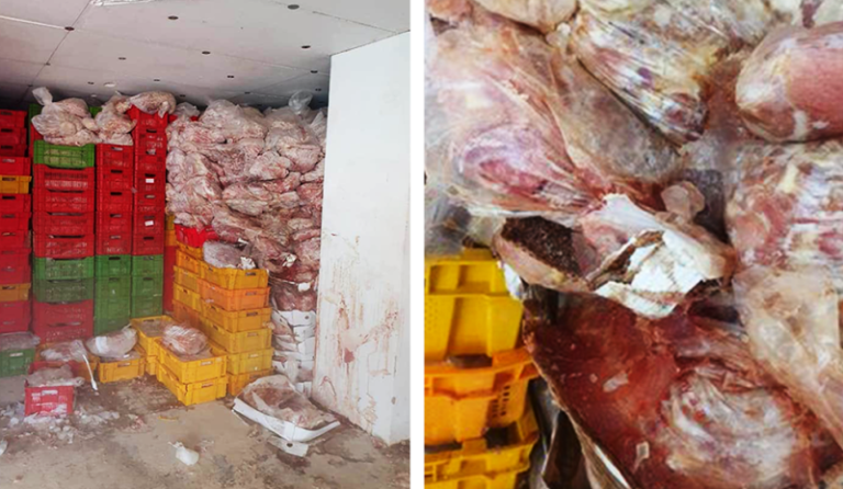 مداهمات مستودعات الدجاج ستتواصل وهذا ما كشفته مسؤولة في “الصحة”