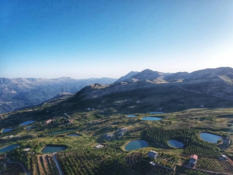 ‎بالوثائق: مواطنون يناشدون عبر موقعنا ازالة بوابة مخالفة تمنعهم من الاستفادة من عقاراتهم بين اللقلوق والعاقورة