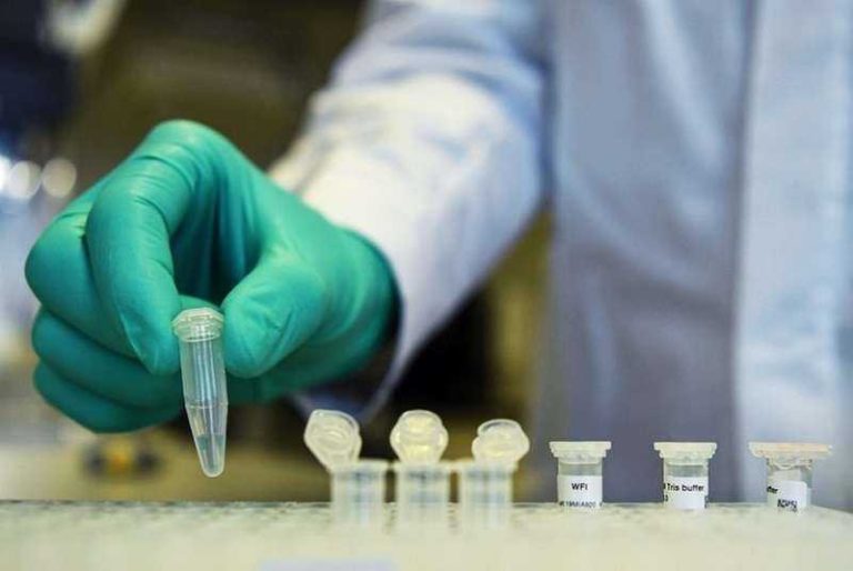 أسباب أخطاء الـ pcr…