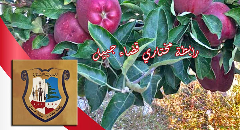 ‎رابطة مخاتير جبيل: للوقوف الى جانب مزارعي التفاح لتصريف إنتاجهم