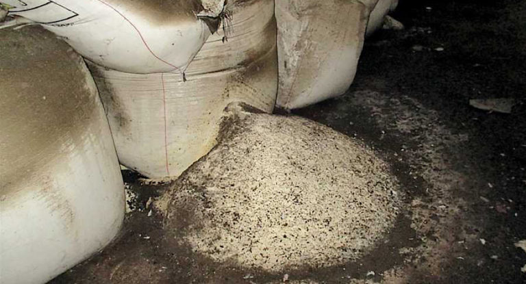 بالصور: هكذا خُزّنت نيترات الأمونيوم في المرفأ قبل انفجارها