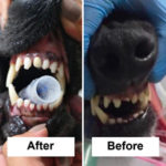 6F549D1B-CC10-4A5E-B76D-1A66AF591394