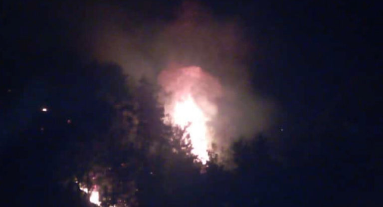 النيران تلتهم ثروة سقي رشميا الصنوبرية