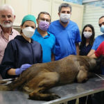 F39BBE8E-B5BC-434A-84F9-417323A0647F