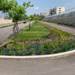 20B9C15C-B45C-4F35-8FCF-2434EA277517