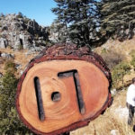 6A6FE548-CC87-40B9-B27C-AFC729E10C7D