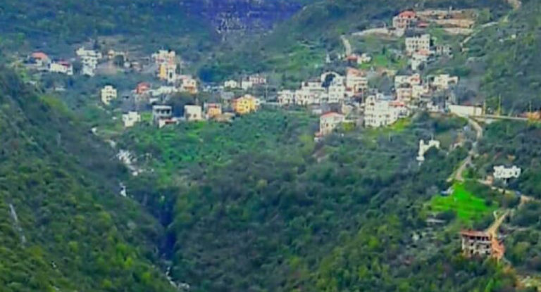 ‎حاقل تخرج من الحجر وحالة ايجابية واحدة