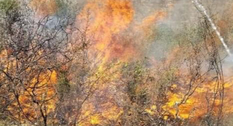 بلدية بجه تحذّر من خطر إشعال النيران في هذه الفترة