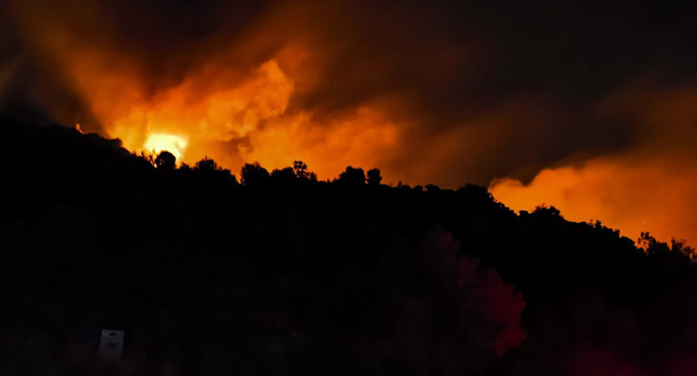 بالصور – هكذا أصبحت أحراج القبيات بعد الحرائق الضخمة التي إجتاحتها