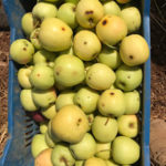 F62C7FA7-7BC6-4B10-9915-1ED92A5656B4