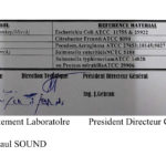 2772AEF9-C819-4E24-96C0-D4A8862EBC5D