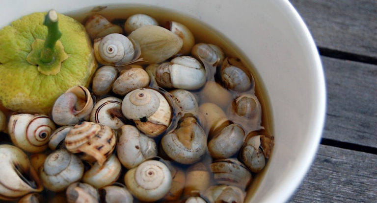 هل عليك تناول “البزاق” أم لا؟