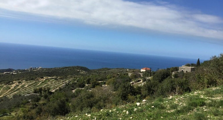 استقالة مختارة بلدة بخعاز في قضاء جبيل