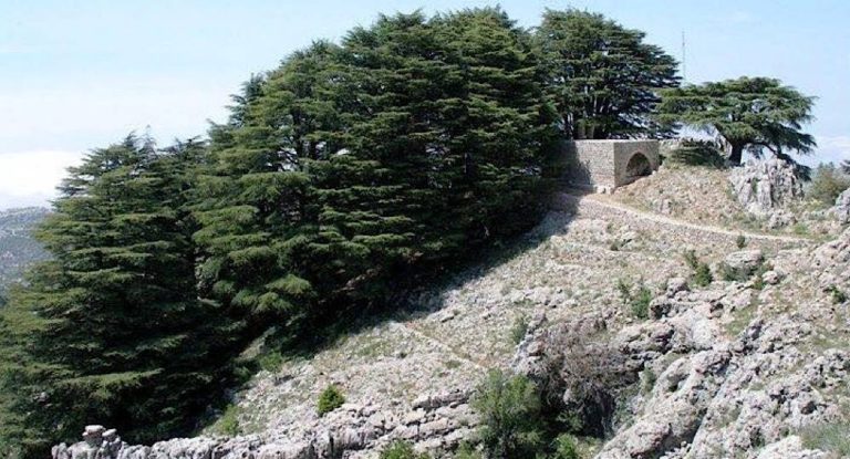 الدفاع المدني مركز جاج يعثر على الشبان الثلاث بعد فقدان الاتصال بهم