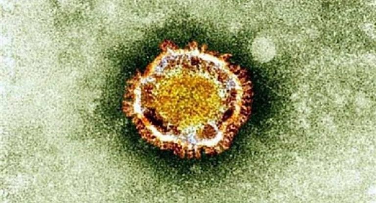 ‎فيروس جديد في الصين أخطر من كورونا.. وتحذير من جائحة عالميّة مقبلة!