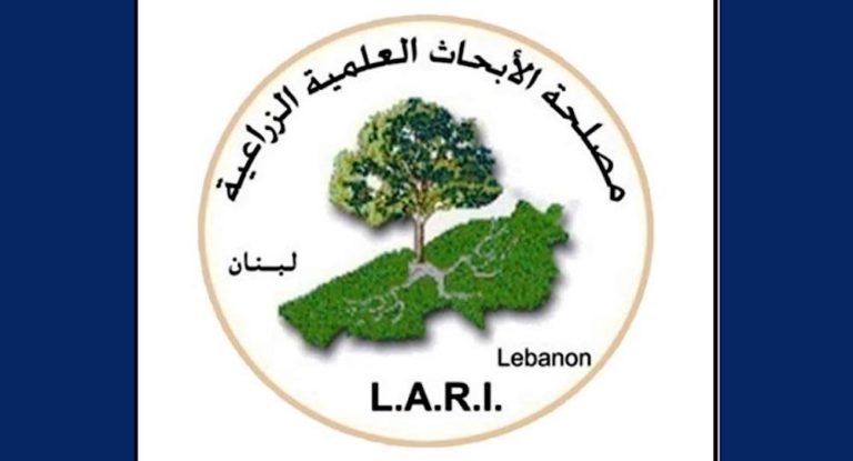 مصلحة الابحاث الزراعية: تراجع حدة المنخفض الجوي برودة وثلوجا