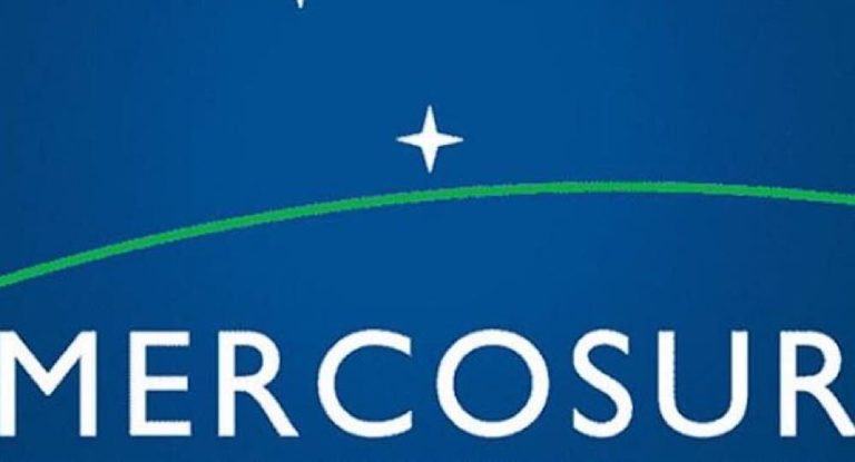 ماذا تعلم عن الميركوسور؟