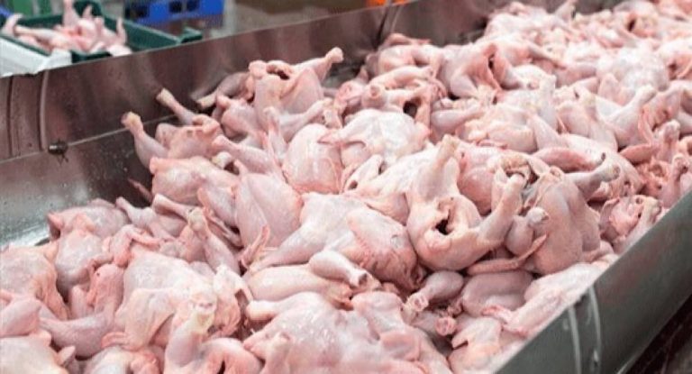 فيديو صادم- “الدود” يغزو الدجاج في هذه البلدة اللبنانية!