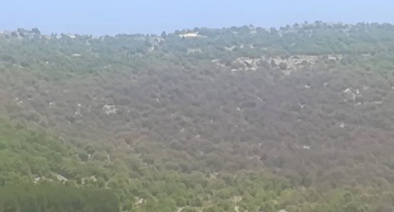 بعد مناشدة النائب زياد الحواط مدير عام وزارة الزراعة في حاقل غدا