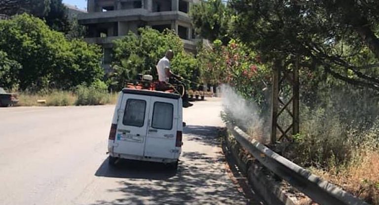 إعلان هام من بلدية فتري بشأن رش دودة الصندل