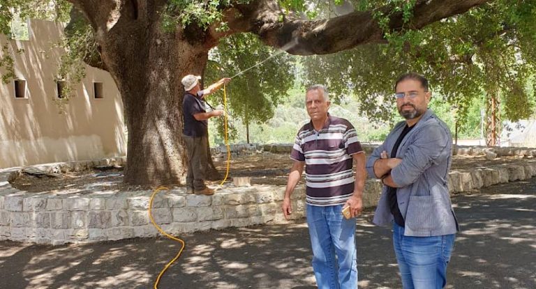 بمبادرة من ابي رميا بدء عملية رش الادوية لمكافحة دودة الصندل في حاقل