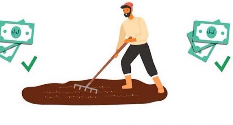 إذا كنت من صغار المزارعين… كيف يمكنك الاستفادة من دعم ٍ بثلاثمئة دولار؟
