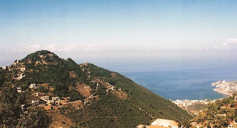 بالصور-سقوط طائرة في جبل غوسطا يودي بحياة 3 أشخاص