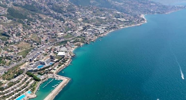 بالفيديو – حوت نافق ضخم على شاطى لبناني