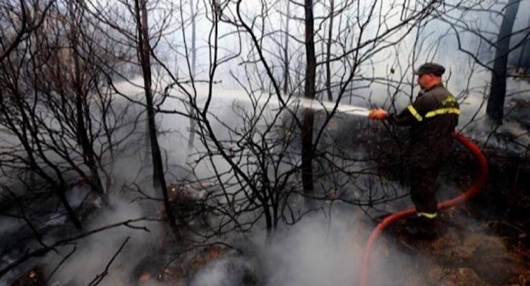 ليس لحرائق هذا الصيف مَن يُطفئها!