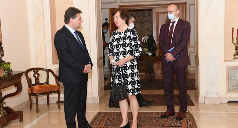 كنعان التقى فرونيستكا وبحث بتبادل الخبرات ودعم المؤسسات للحد من الانهيار