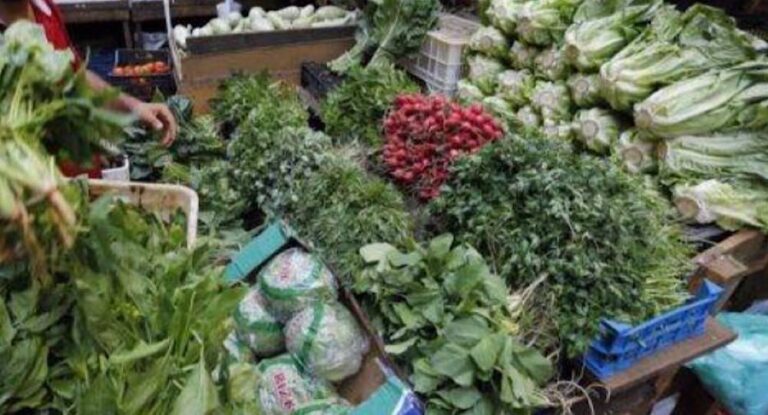 حشائش ملوّثة ومليئة بسموم مسرطنة…هذا ما يأكله اللبناني