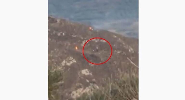 فيديو-بالجرم المشهود… رصد مواطن يشعل حرائق
