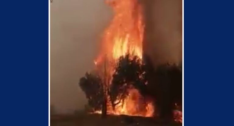 بالفيديو – حريق كبير في الطريق الجديدة