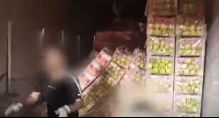 “صنع في لبنان”.. الإمارات تضبط شحنة ليمون تخبئ أقراصا مخدرة