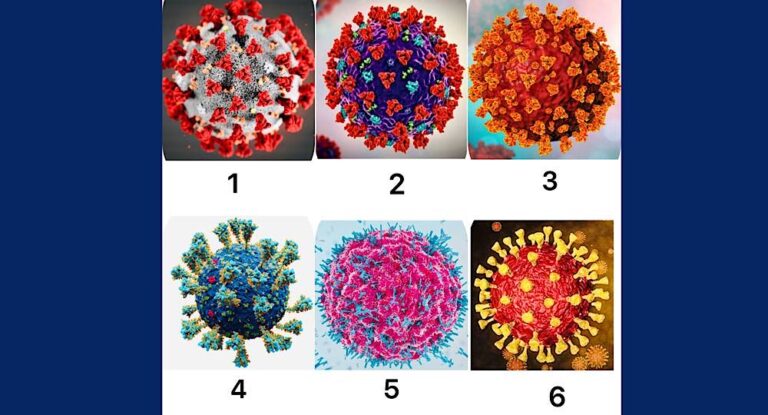 بالأسماء – إليكم متحوّرات فيروس كورونا