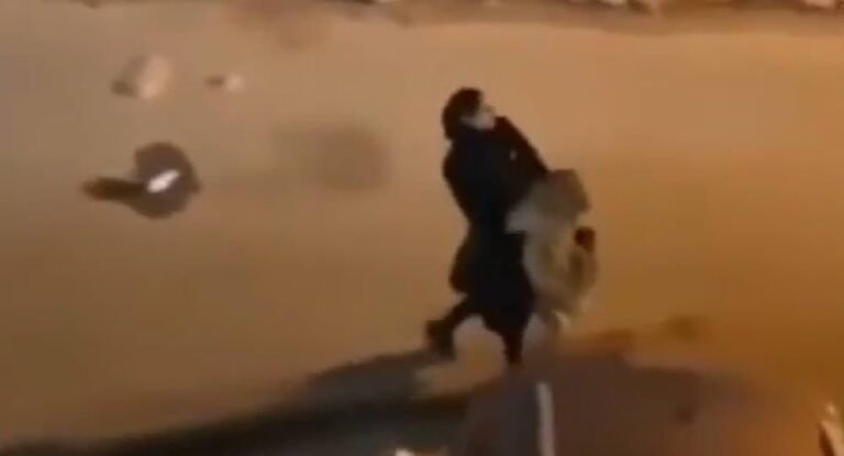 بالفيديو – فتاة تلقي القبض على أسد هارب