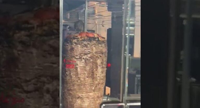 بالفيديو.. فأر يقف على سيخ شاورما في مطعم شهير يثير ضجة