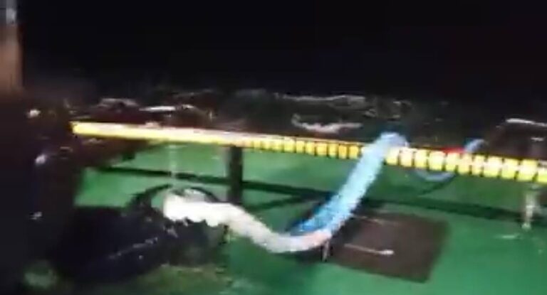 بالفيديو – قطر الباخرة التركية من عمشيت إلى الدورة