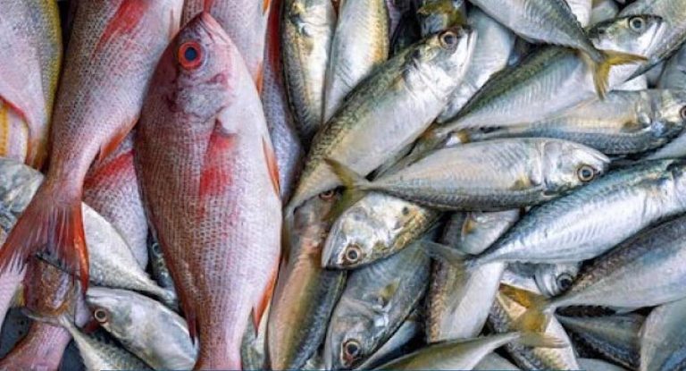 الأسماك الملوثة تغزو الأسواق والمطاعم