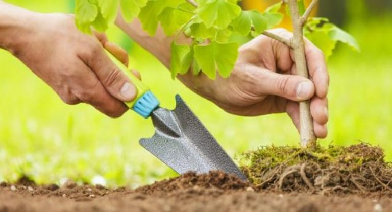 دورة تدريبية للمزارعين في قضاء جبيل..إليكم التفاصيل.