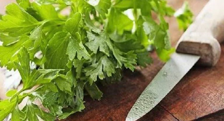 تكلفة التّبولة مُبكية.. وسعر البقدونس “نار”