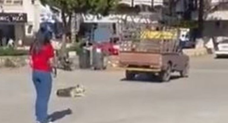 فيديو برسم المعنيين…”جريمة وحشيّة” في البقاع الغربي