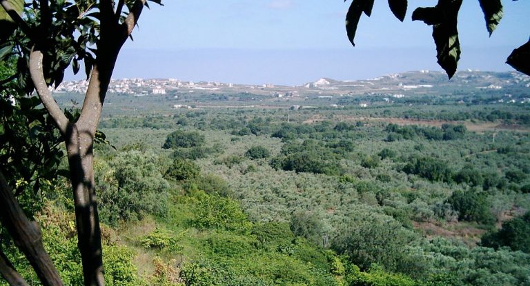 صوت إنفجار قوي في الكورة!