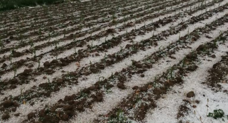 بالصور – أضرار جسيمة سبّبتها الأمطار ومناشدة من الحواط والدكاش