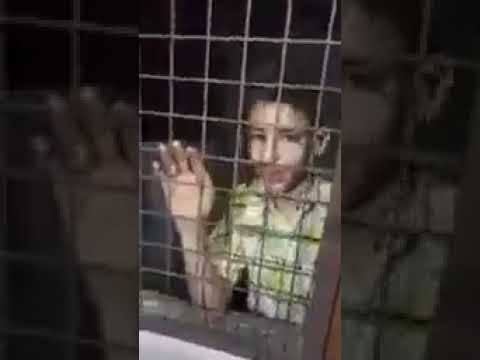 بالفيديو-العثور على طفل سجنه والده تحت الارض في هذه المنطقة