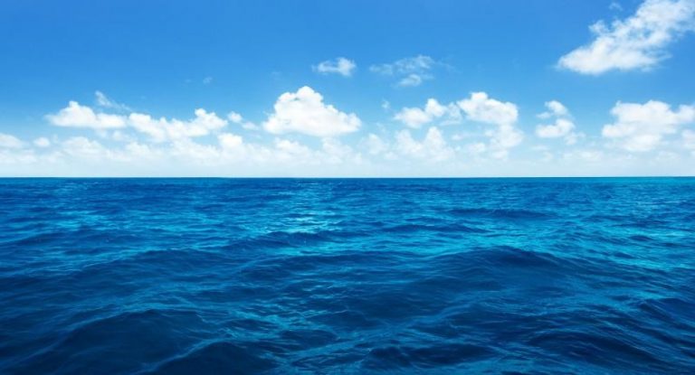 بالصورة – سمكة قرش خطيرة ونادرة تقع في الصنّارة “الغدارة” في هذه المنطقة