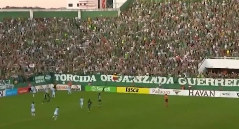 بالفيديو: مصارعةٌ في الملعب!