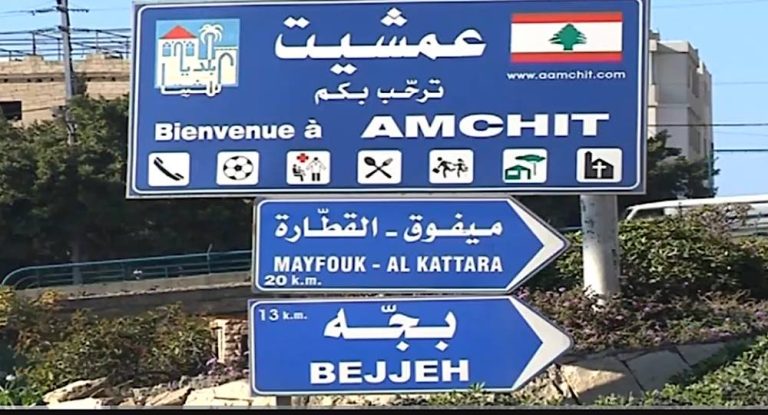 بالفيديو والتفاصيل…مدرسة في عمشيت بخطر!